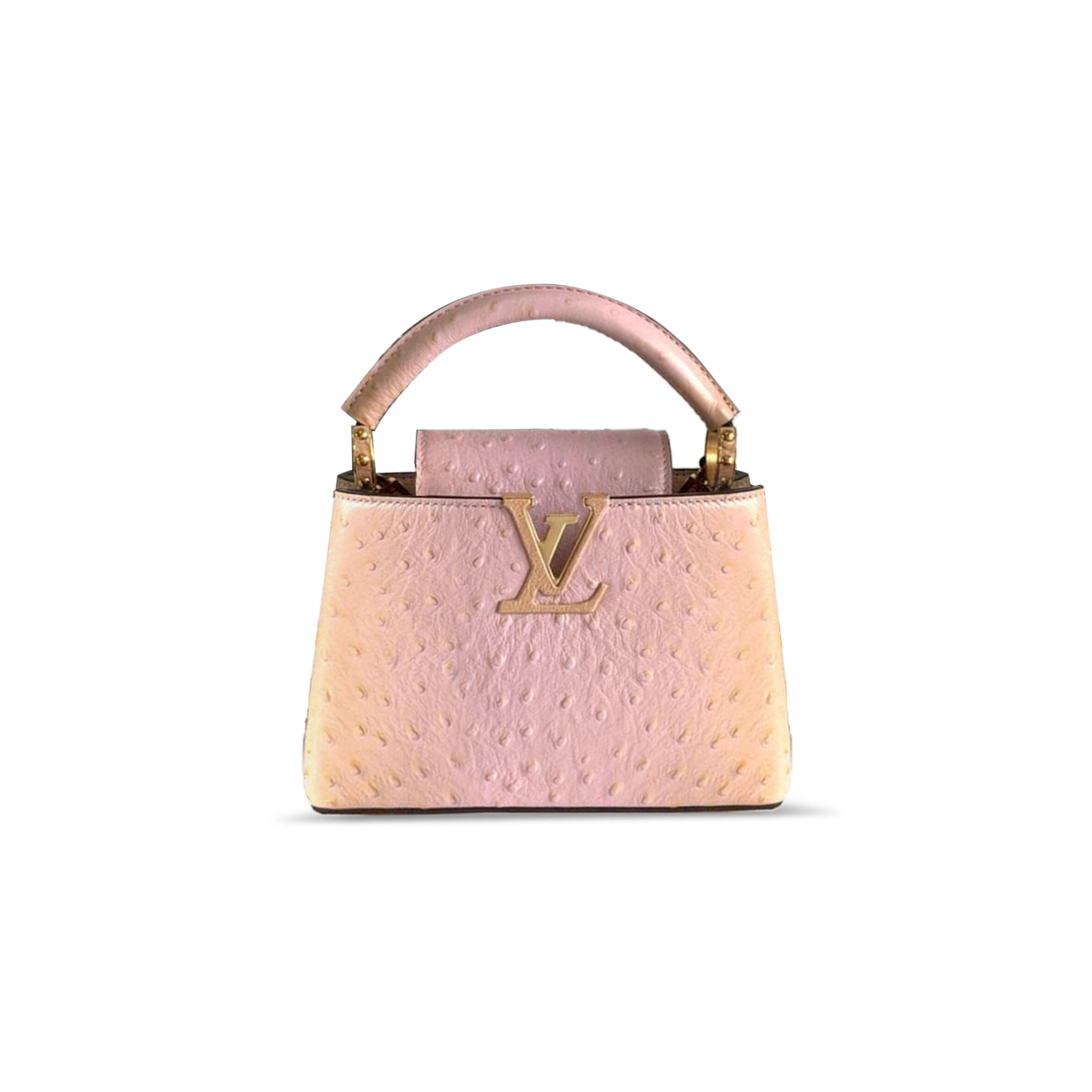 l0vis Vvtt0n capucines mini n85511 (21*14*8cm)